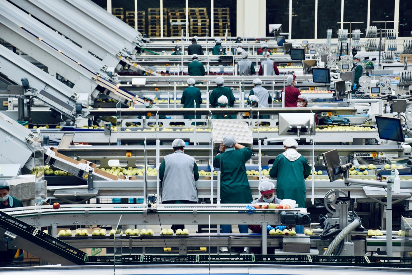 Workers, conveyor belts, and computer terminals on a fruit packing line